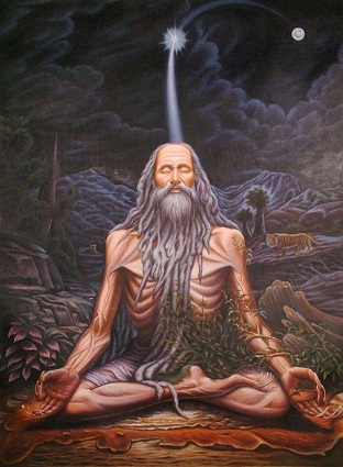 Yogi-meditating
